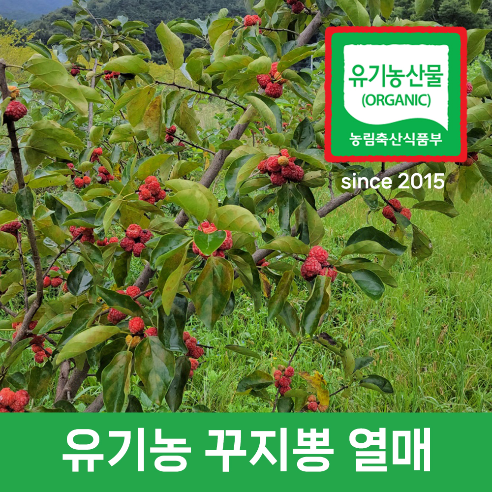 [김제시_새만금유기농꾸지뽕]유기농 꾸지뽕열매(냉동) 3kg/5kg/10kg